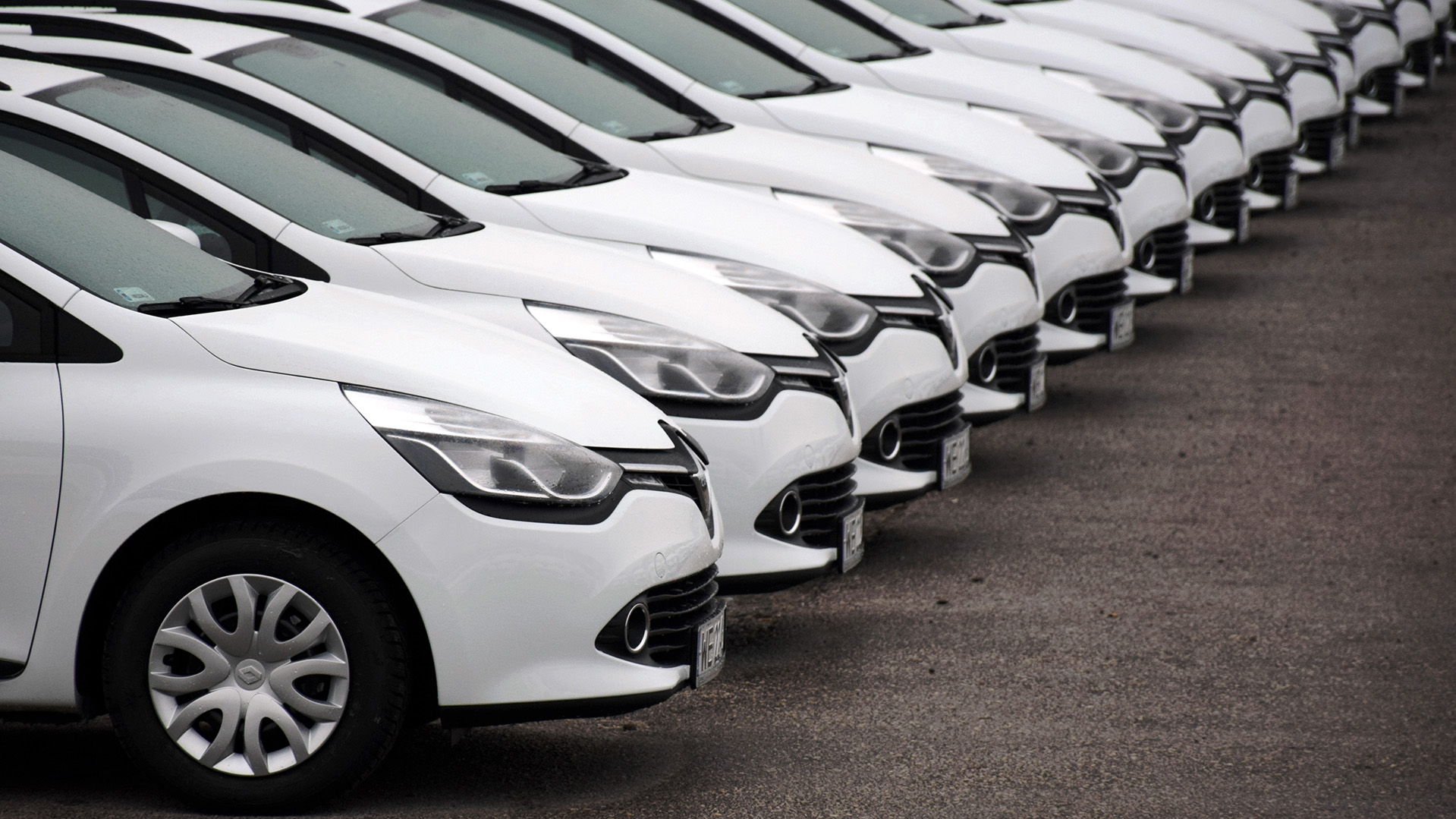 Row of identical white fleet cars parked diagonally in a lot.